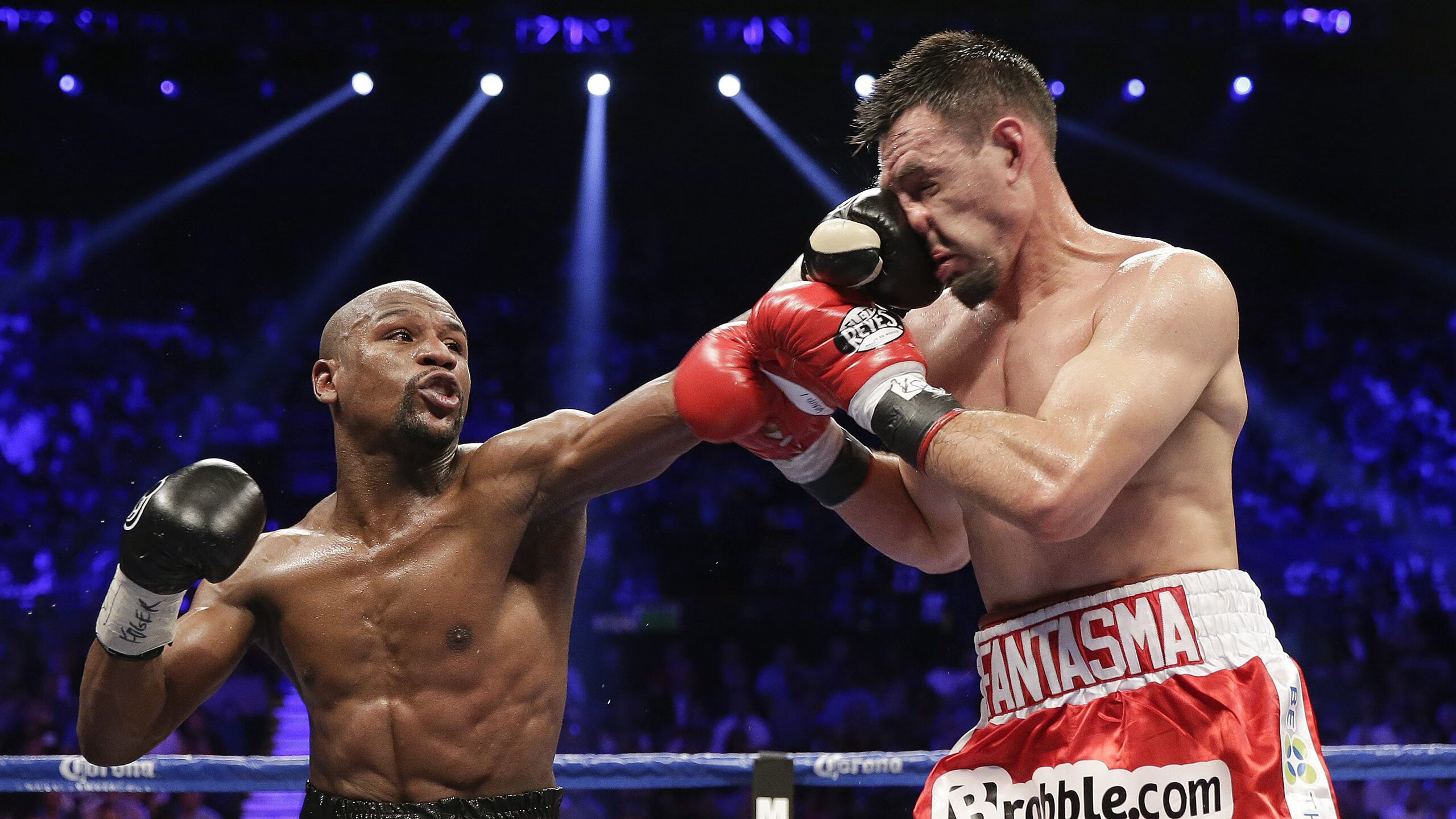 “南非羚羊队新锐之星：诺克·达维德·彼得森走向巅峰”